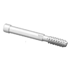 Cannulated PFN Bolt