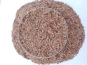 Flax Seeds