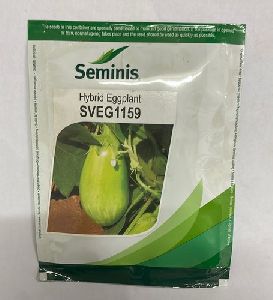 Brinjal Seeds Seminis sv 1159