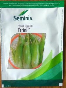 Brinjal Tarini seeds