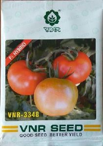 Tomato VNR 3348 Seeds
