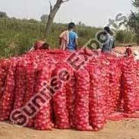 Farm Mesh Packed Onion