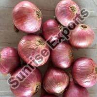 Fresh Garva Onion