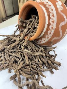 Akarkara Root