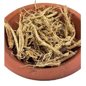 Chinese Ginseng Root