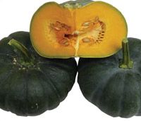 F1-Shivam Pumpkin Seeds