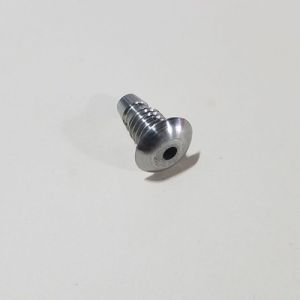 Stainless Steel Screws