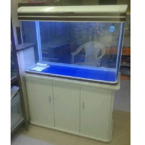 fresh water fish aquarium