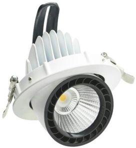 led zoom light