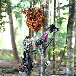 Motorized Arecanut Tree Climber