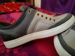 Mens Canvas Shoes