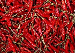 Sannam Dried Red Chilli