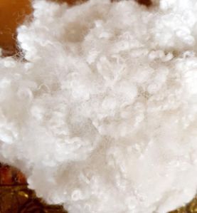 Conjugated Polyester Staple Fiber