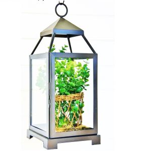 black color iron candle lantern