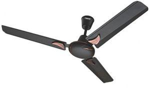 Wave Ceiling Fan