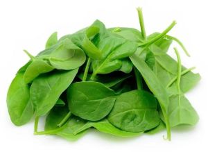 Fresh Spinach Leaves