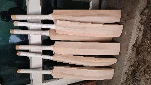 Kashmir Willow Bat