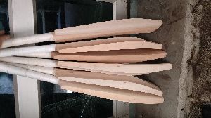 Kashmir Willow Bat