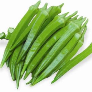 F1 Jassi 5591 Okra Seeds