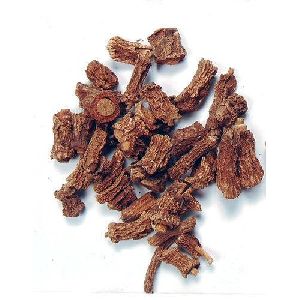 Dried Anantmool