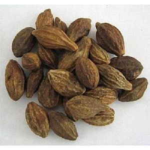 Dried Harad