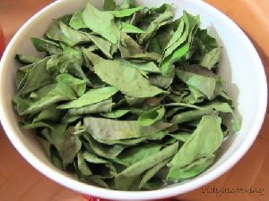 Curry Leaves.