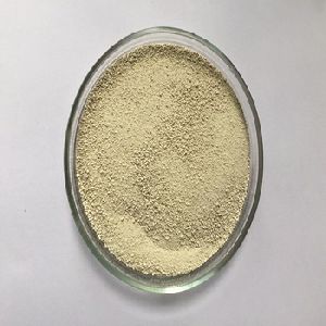 papain enzyme powder