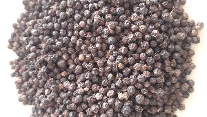 Black Pepper