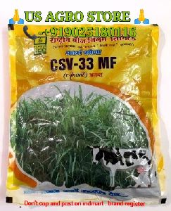 Csv-33 mf Sorghum Seed