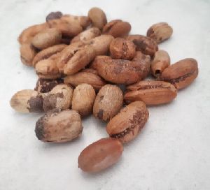 Khajur Palm Seed