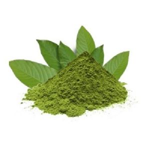 Banaba Leaf Extract Powder