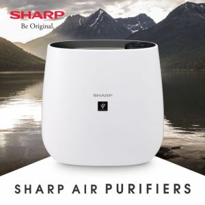 Portable Room Air Purifier