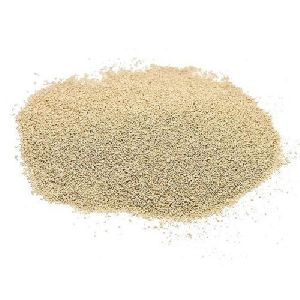 Dry Yeast Powder