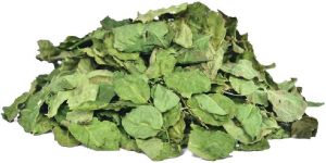 Moringa Dry Leaves