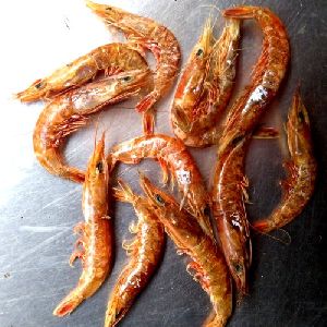 Dried Tiny Shrimps