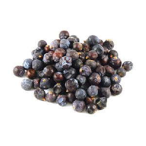 Juniper Berry