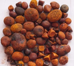 cow gallstones.