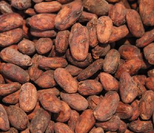 sun dry cocoa beans
