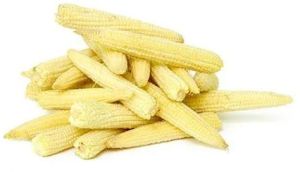 Fresh Baby Corn