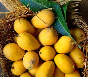 Fresh Mango