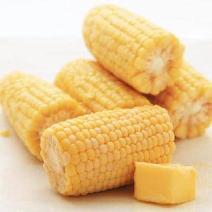 Frozen Corn On Cob