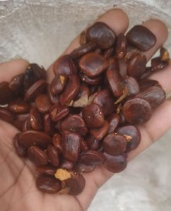 Tamarind Seed