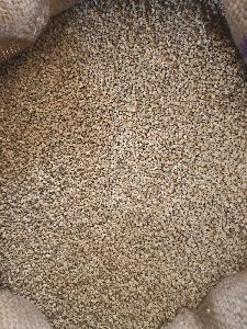 Palak vegetable Seeds