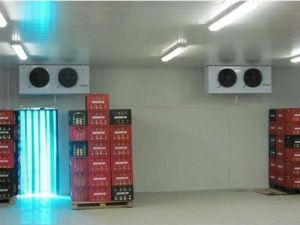 Fully Automatic Cold Storage Room