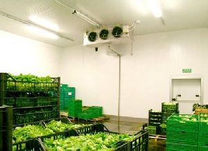Vegetables Cold Storage Room