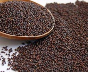 Brown Mustard Seeds