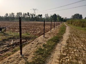 Barbed Wire Fencing Service