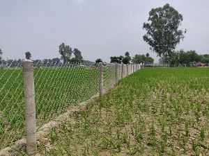 Chain Link Fencing Services
