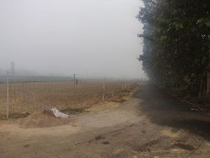 Tata Wiron Knotted Fence