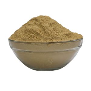 Bhumi Amla Powder